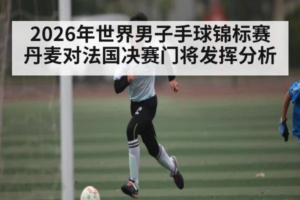 2026年世界男子手球锦标赛丹麦对法国决赛门将发挥分析